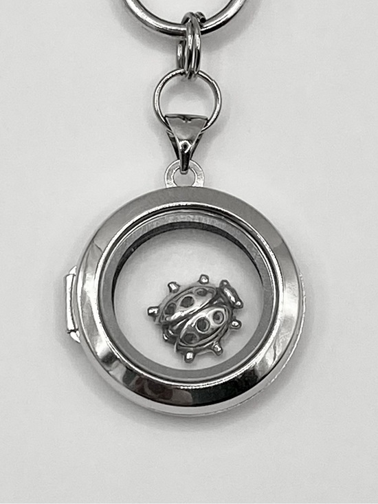 Mindful Vibe Jewelry Accessories - Joy .925 SS Lady Bug, Glass Floating Locket Mood Boosting Bag Charm